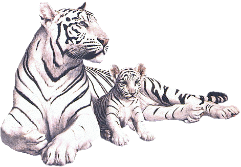 Miniature Ixo/Corgi 1/43 - Cages De Cirque Pinder Avec Animaux (Hyènes, Lions, Tigres, Etc.)
